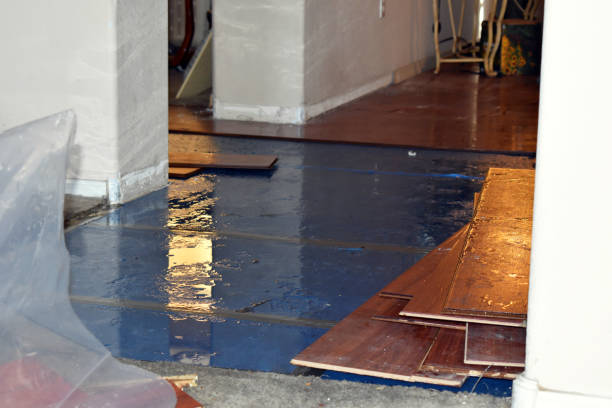 Professional Flood Damage Restoration technician working in Wadsworth, NV